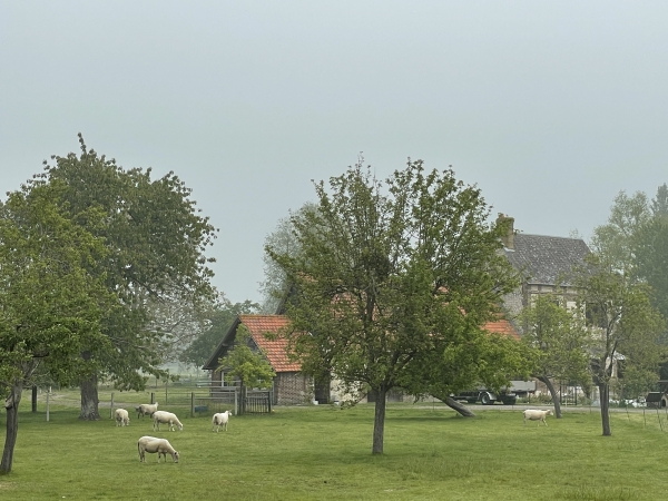 Paysages des marais.