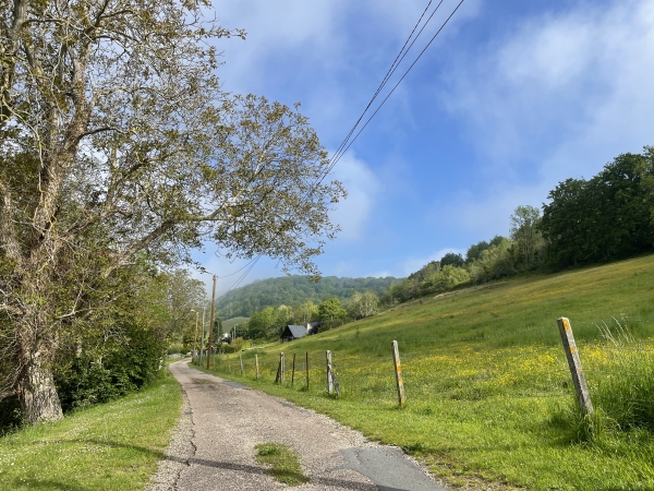 Nous avons traversé la D982 et montons la ruelle de la Pierre Moulée en direction de la forêt.