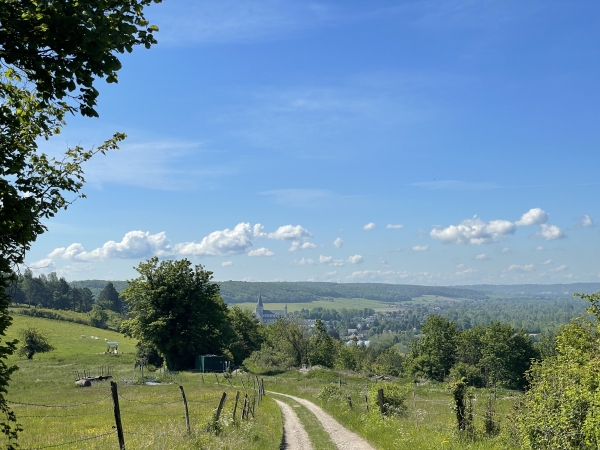 Nous commençons la descente vers St-Martin-de-Boscherville. On distingue au loin l'abbaye Saint-Georges.