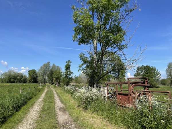 A St-Martin-de-Boscherville, nous contournons le bourg en passant par le circuit du marais.