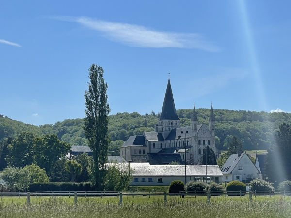 Nous ne sommes pas très loin de la fameuse abbaye romane Saint-Georges. On peut s'étonner que le village s'appelle St-Martin, en fait l'église paroissiale était dédiée à Saint Martin, mais elle a disparu après la Révolution, au profit de l'église abbatiale.