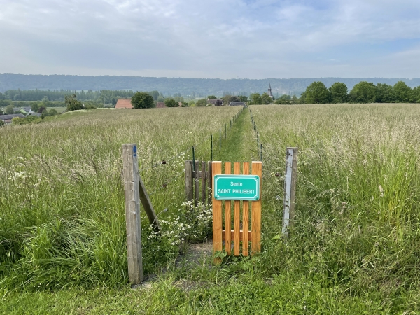 Nous rejoignons l'entrée de la Sente Saint-Philbert qui descend vers l'église du Mesnil-sous-Jumièges.