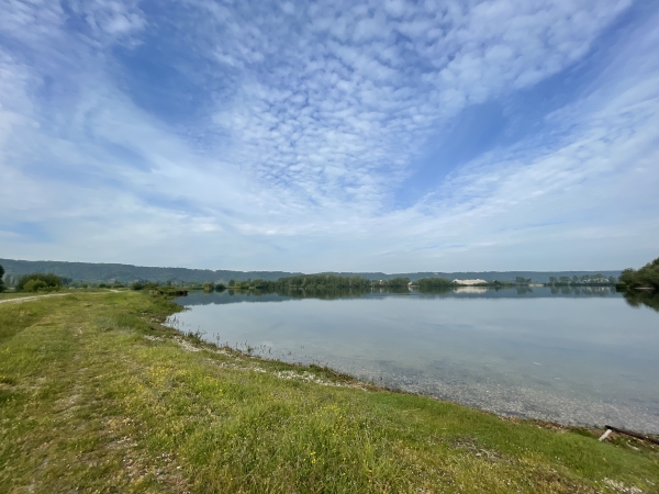 Nous longeons l'étang de Jumièges avant de traverser le marais.