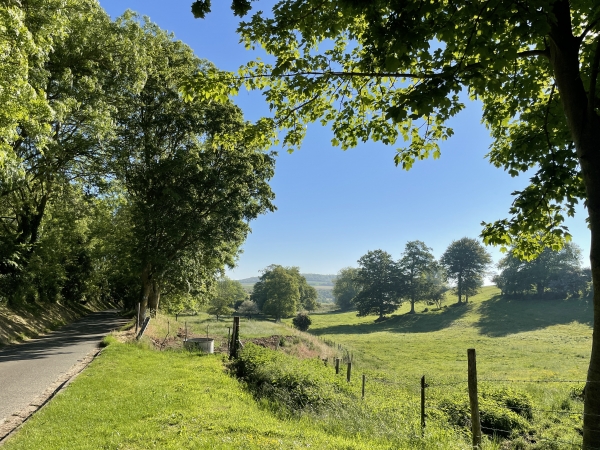 Vue sur le vallon qui descend vers Criel-sur-Mer. Nous allons quitter la petite route pour suivre le chemin dans la Plaine du Mesnil.