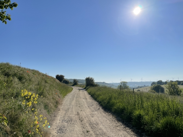 Plaine du Mesnil, nous montons vers le Mont Jolibois, au-dessus de Criel.
