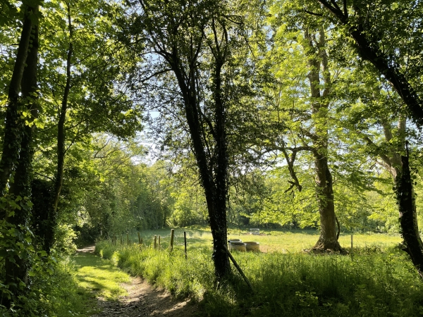 Descente vers Criel-sur-Mer.