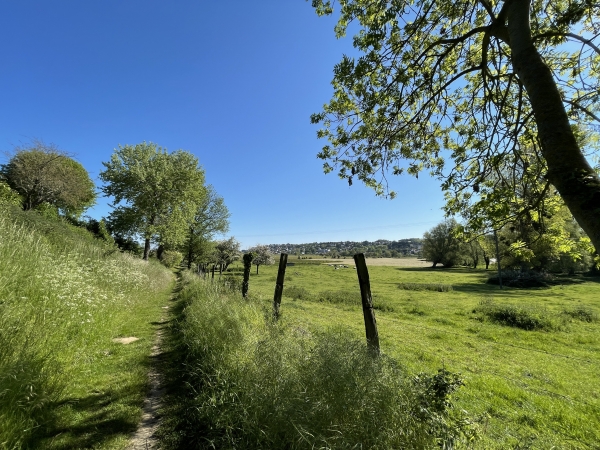 Le Chemin des Soupirs suit la vallée de l'Yères. Il pourrait nous mener jusqu'à Criel Plage, mais nous le quitterons avant.