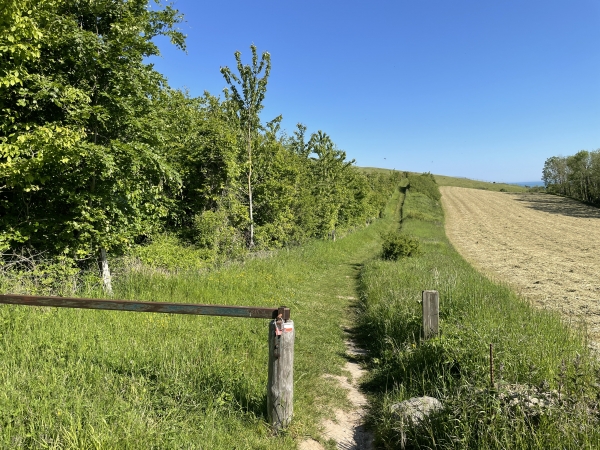 Aux Nouettes, nous suivons le GR21 pour rejoindre le bord de mer.
