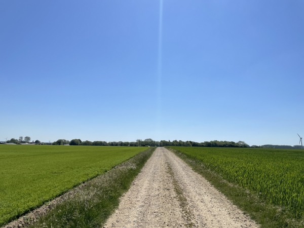 Nous quittons le Sentier du Littoral pour tourner vers Tocqueville.