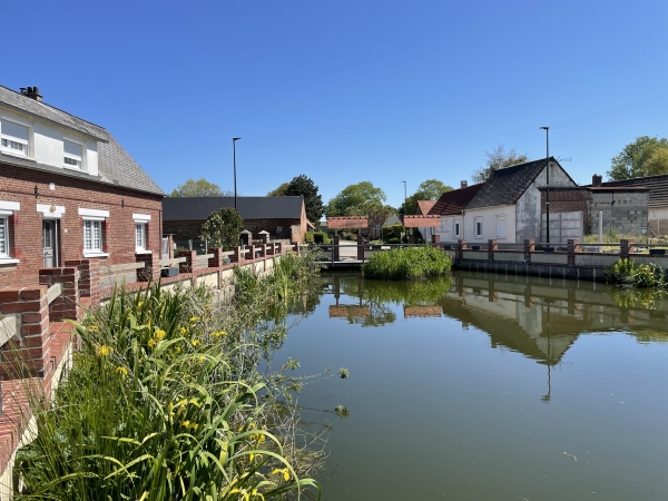 Nous voilà de retour à Tocqueville-sur-Eu, avec ici sa mare.