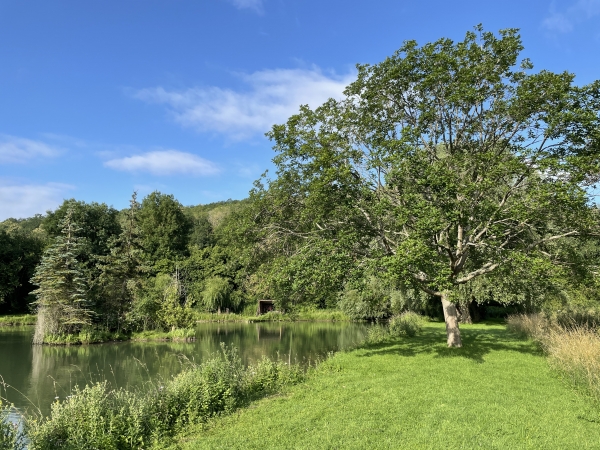 Nous quittons le parking de la mairie, suivons le GR222 et rejoignons le ravissant plan d'eau aménagé des Sources des Grands Riants.