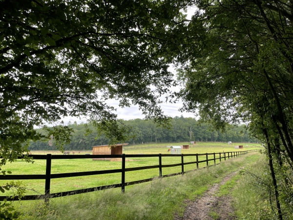 Nous quittons le bois au pied de la Butte de Heurteloup, que l'on voit en face, et que nous contournerons par la gauche.