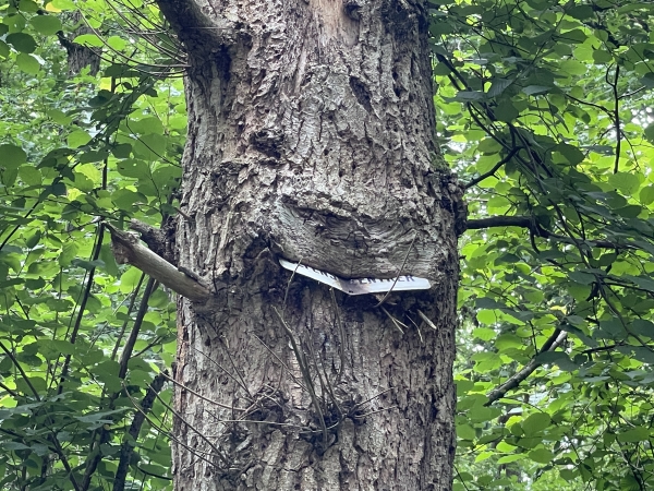 Un charme avale une pancarte de propriété avec un sourire ironique.