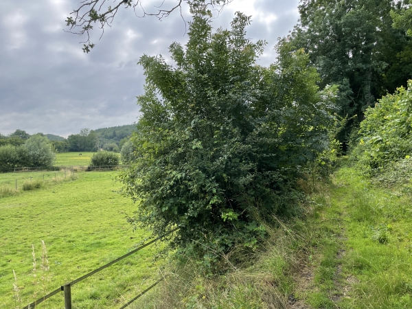 Nous longeons la vallée du Rouloir en direction du Sec Iton.