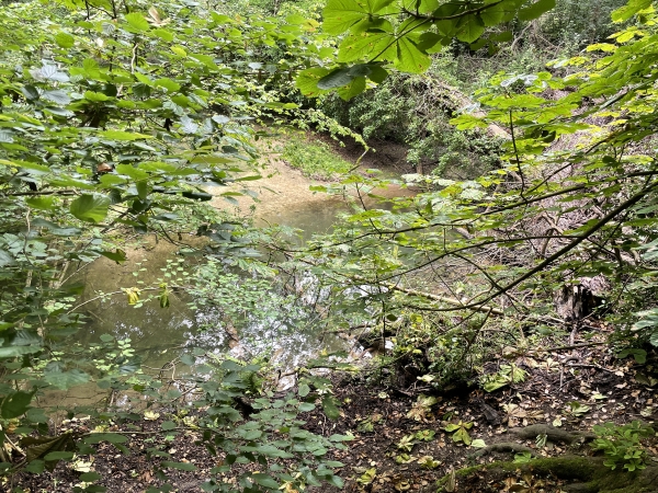 Nous faisons l'aller-retour jusqu'à la Fosse aux Dames, qui est la principale résurgence de l'Iton. On ne voit qu'un étang dans la végétation, mais la couleur turquoise de l'eau indique la résurgence. Son nom vient de la légende qui raconte que des dames seraient tombées dans cette fosse avec leur carosse. De temps en temps, le carosse remonterait à la surface...