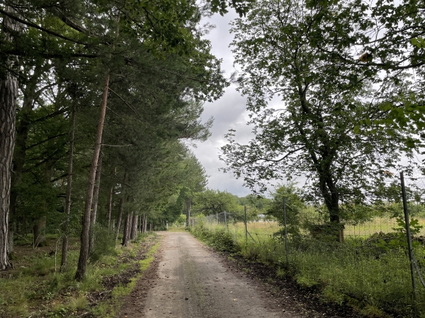 Nous montons en Forêt d'Evreux, et contournons la Maison Rouge en direction du GR222.