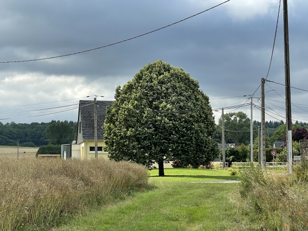 Nous rejoignons la mairie de Gaudreville-la-Rivière.