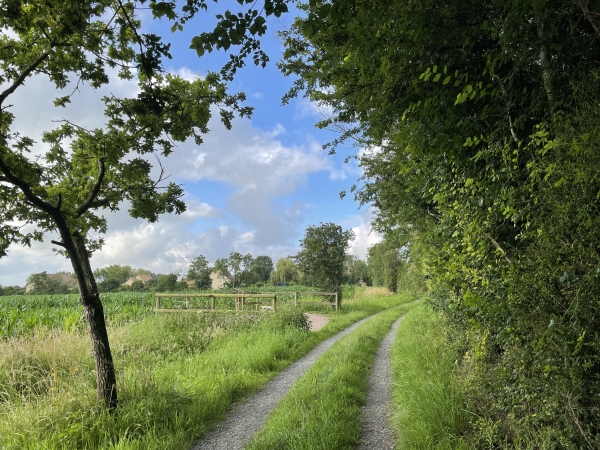 Peu avant Robehomme, un belvédère a été aménagé pour profiter d'une vue d'ensemble des paysages des marais de la Dives.