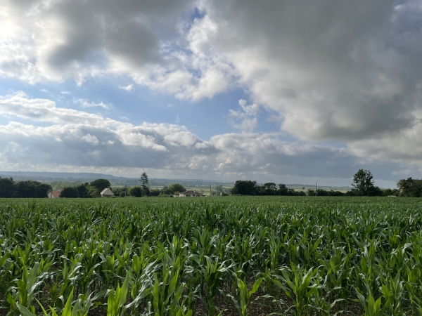 La vue depuis le belvédère n'est pas photogénique en raison du soleil de face. La photo de la table d'orientation est dans l'album de la rando. Quand les maïs seront hauts, la vue depuis le belvédère sera nettement moins intéressante !