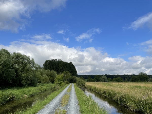 Nous allons sortir des marais au hameau de Roncheville, et monter dans le bois de Bavent que l'on voit en face.
