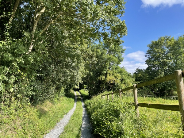 Les chemins qui relient Bavent à Petiville sont charmants. Nous nous attendions à la richesse de la faune et de la flore d'un circuit des marais de la Dives, mais cette randonnée est beaucoup plus variée que ce que nous imaginions.
