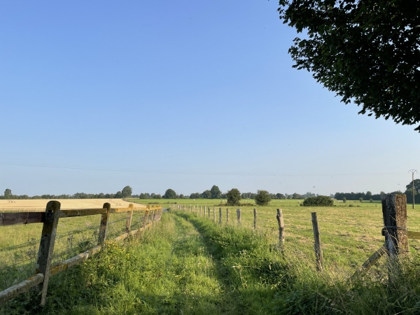 Nous traversons la plaine des Tilleuls.