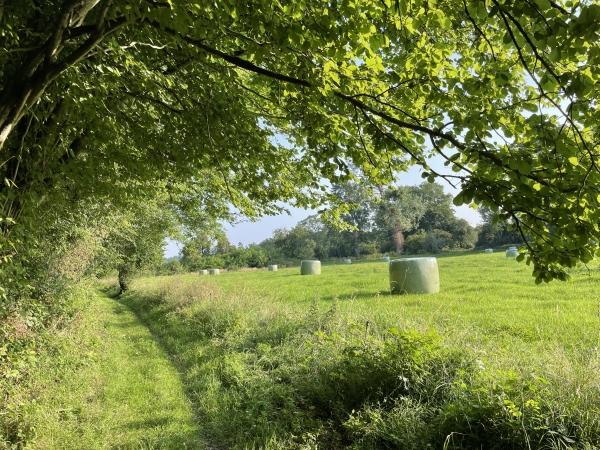 Nous sommes maintenant dans la plaine appelée curieusement Campagne de la Picardie, sur un charmant chemin couvert.