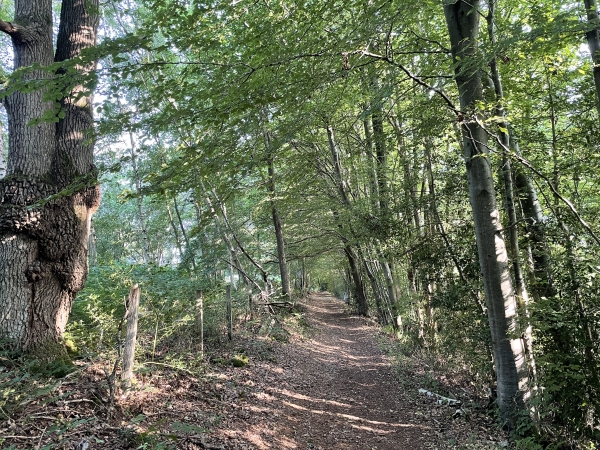 Nous descendons la Côte Harpie en direction de la vallée.