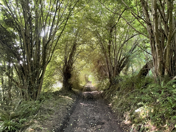 Dans la vallée, nous suivons le chemin des Bourdons.