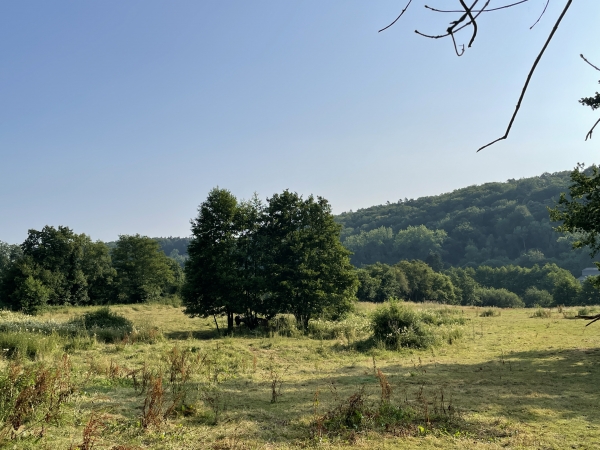 A notre gauche, la vallée où coule, discrète, la Morelle.