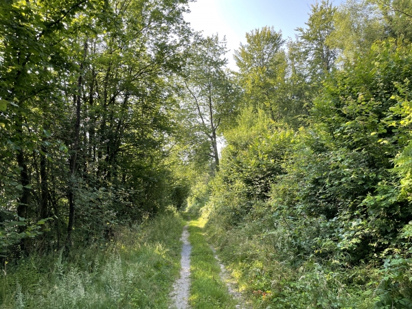 Le chemin de la vallée est très agréable sur toute sa longueur. Nous arrivons au niveau du lieu-dit Plainville.