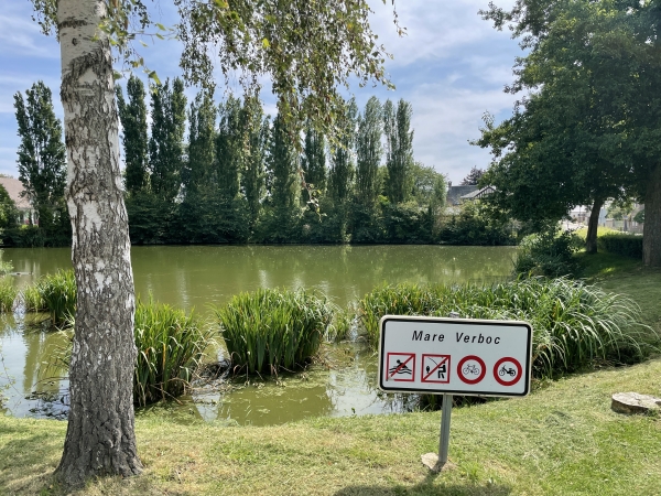 Du centre du bourg, nous traversons la D138, longeons la mare Verboc, et prenons la direction de la rue du Boc.