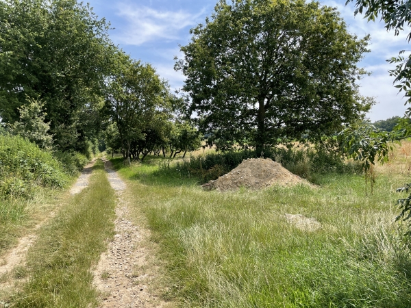 Oh des arbres ! Ah ben non, notre itinéraire tourne à droite, devant le tas de sable.