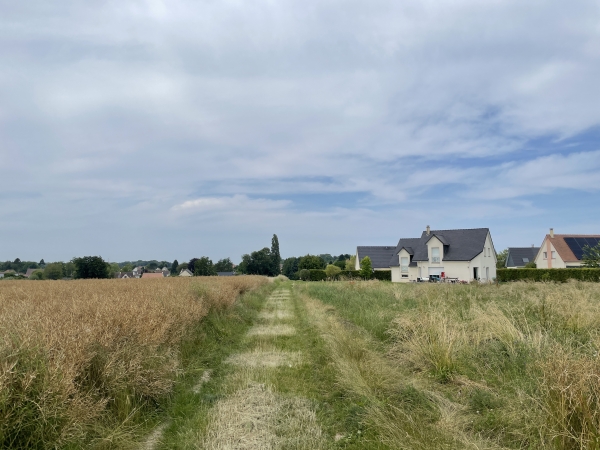 Nous revenons dans le bourg par le chemin des Battiers. Le chemin est entretenu, c'est que nous sommes à quelques mètres de la rue.