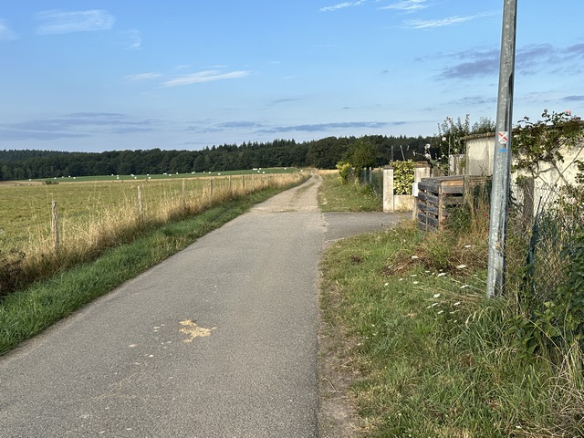 Dès l'entrée du hameau, nous tournons à droite en direction de la mare du Routou.