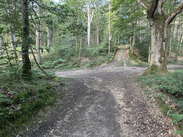 De retour dans le bois de Morsent, nous allons tourner ici à gauche et retrouver le circuit officiel.