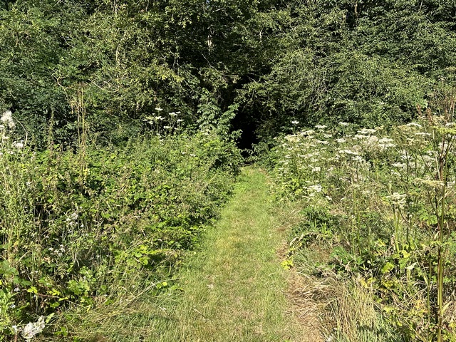 Nous traversons des plaines entrecoupées de bois, passons près de la mare aux Vignes (disparue ou au moins invisible dans la végétation). Les chemins sont agréables et l'alternance de plaine et de bois donne au circuit une belle variété de paysages.