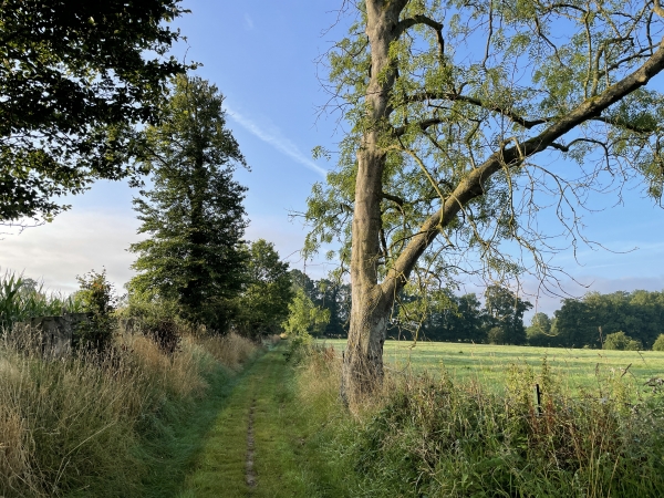 Comme on le voit, les chemins ne sont pas seulement charmants, ils sont parfaitement entretenus !