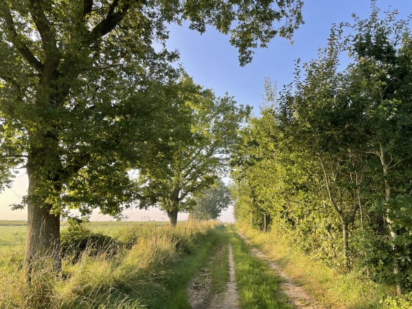 Nous allons bientôt quitter les chemins pour descendre vers Lamberville.