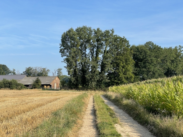 Après avoir traversé les paysages plus monotones de la Plaine de Beautot, nous suivons la petite route des Charmettes en direction du Bas de Bacqueville.