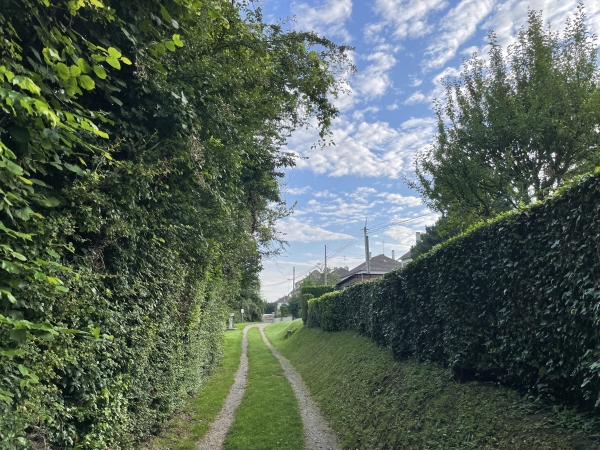 Nous quittons le chemin du Vieux d'O pour rejoindre le Chemin des Varets, qui n'a plus de chemin que le nom. C'est une rue sur les hauteurs de Honfleur.