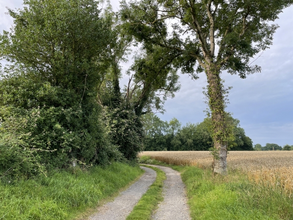 L'itinéraire nous conduit ici sur les chemins du Buquet. Nous allons quitter le parcours officiel pour continuer vers Gonneville-sur-Honfleur.