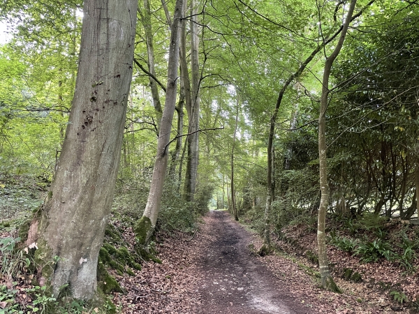 Nous suivons les chemins pour remonter sur le coteau ouest.