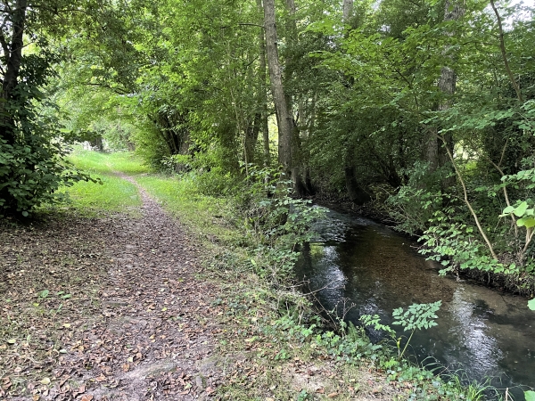 Au bout de la rue, nous prenons le délicieux chemin qui longe l'Authou, puis le traverse.