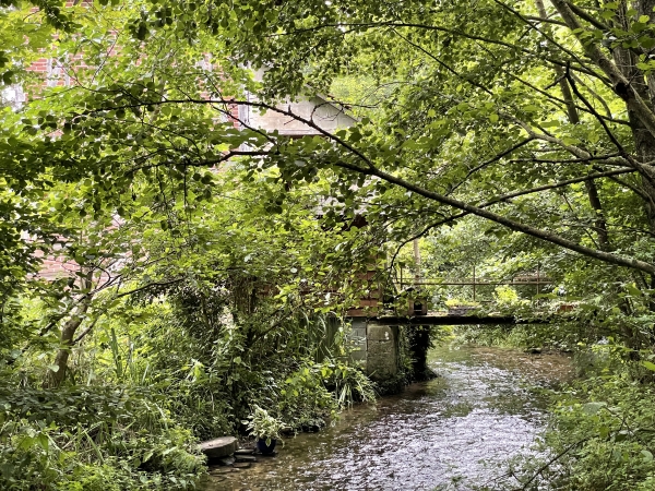 Depuis la passerelle, on voit les vestiges d'un ancien moulin.