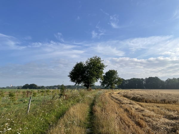 Au sommet, nous traversons le plateau agricole, avant de redescendre dans le bois.