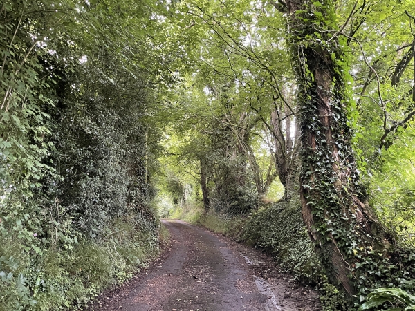 Chemin des Querrières en direction des Monts.