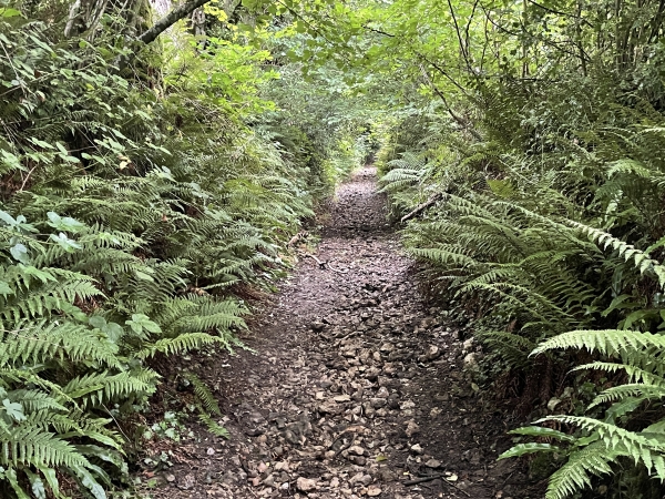 Chemin des Monts. Les chemins qui montent vers le plateau sont couverts de galets, chaussures à tige haute recommandées pour les chevilles !