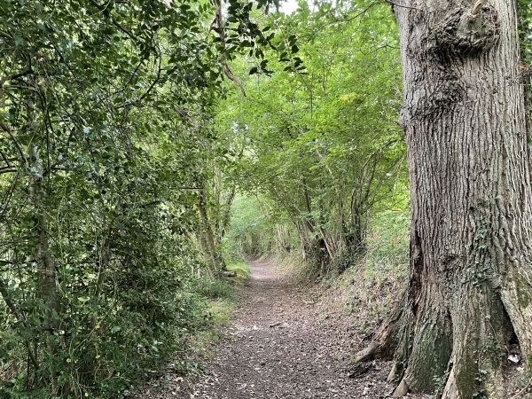 Nous marchons brièvement sur le GR26 avant de redescendre dans la vallée.