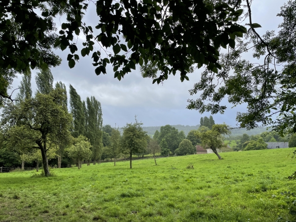 Nous marchons à mi hauteur au-dessus de la vallée de la Touque.